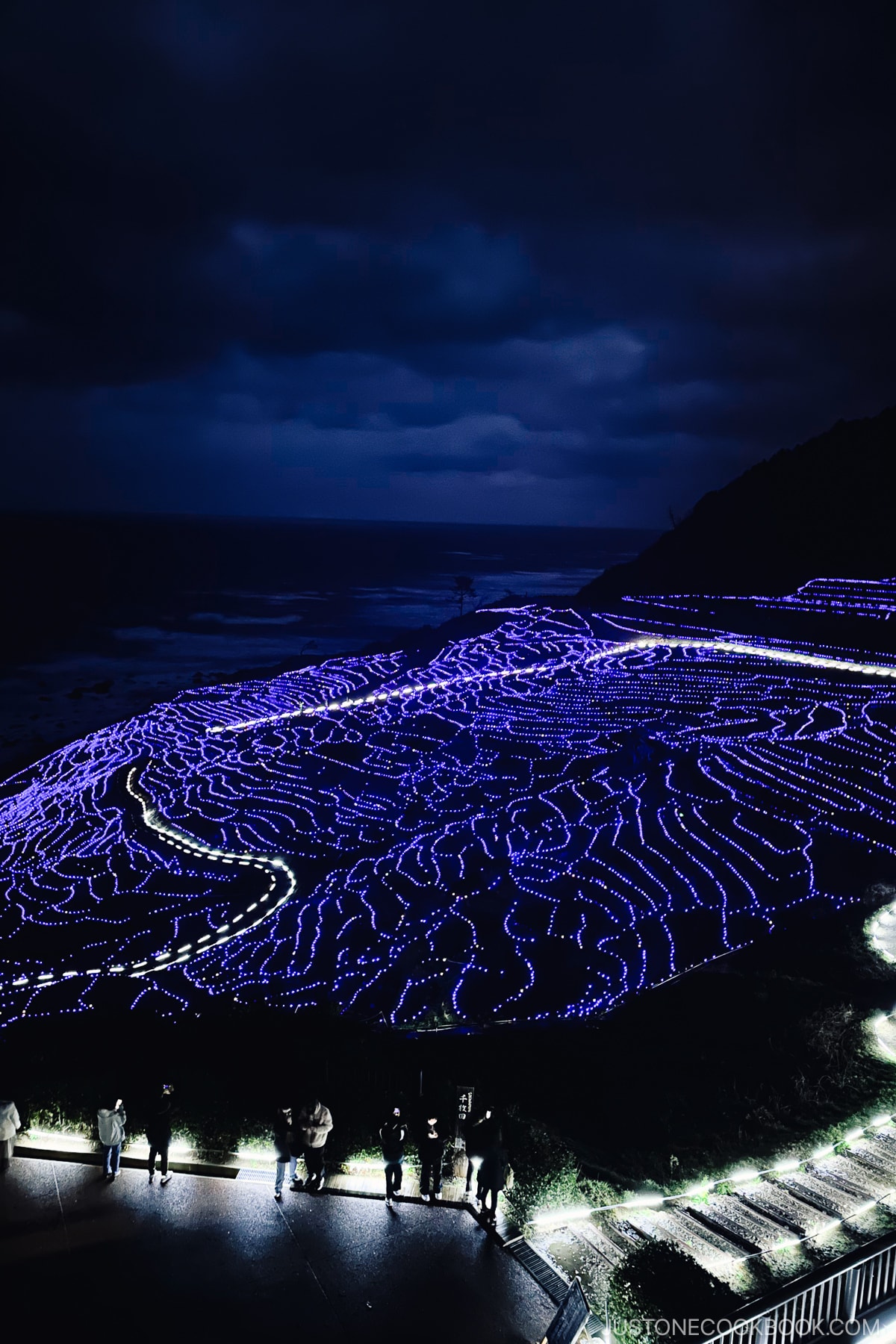 Shiroyone Senmaida Rice Terraces lit up at night in blue