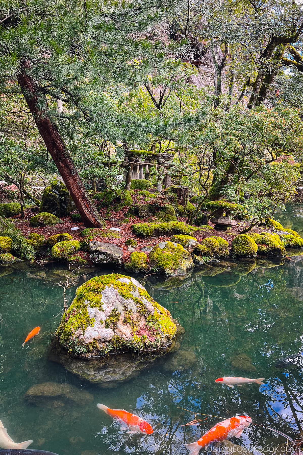 a pond with moss covered stone