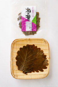 Kashiwa Oak Leaf
