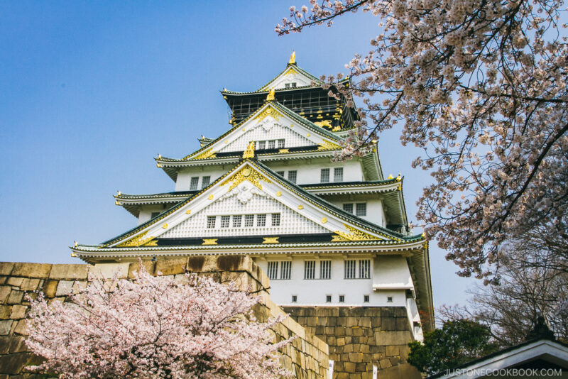 Osaka Castle in the spring