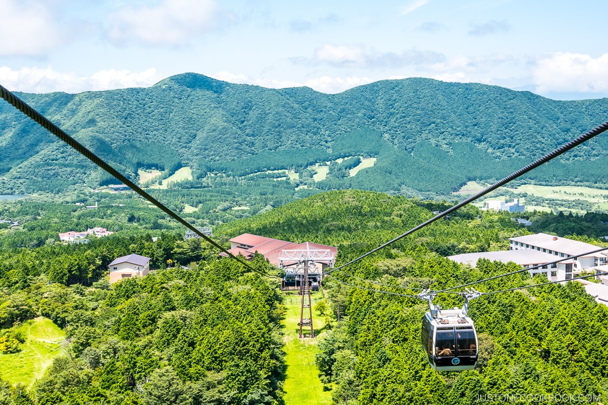 Togendai Station and surrounding area - Hakone Ropeway and Owakudani Hell Valley | www.justonecookbook.com