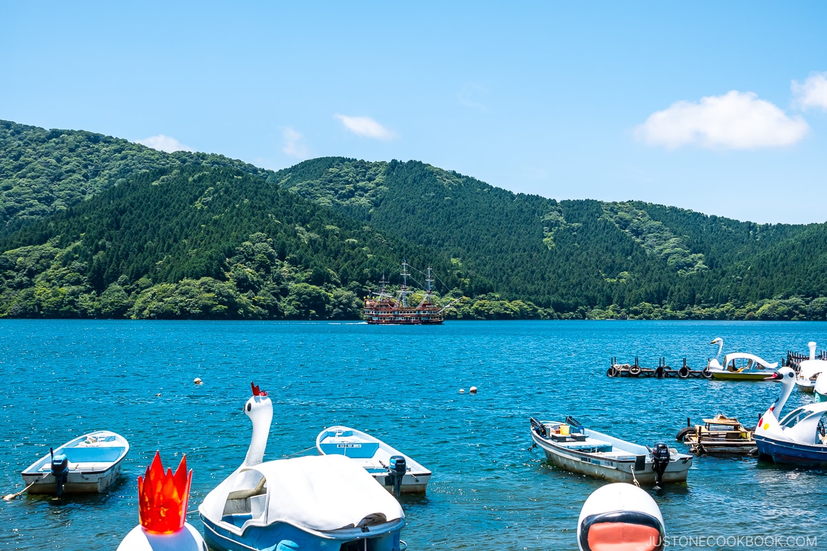 pedal boat and rowboat in Lake Ashi - Hakone Lake Ashi Guide | www.justonecookbook.com