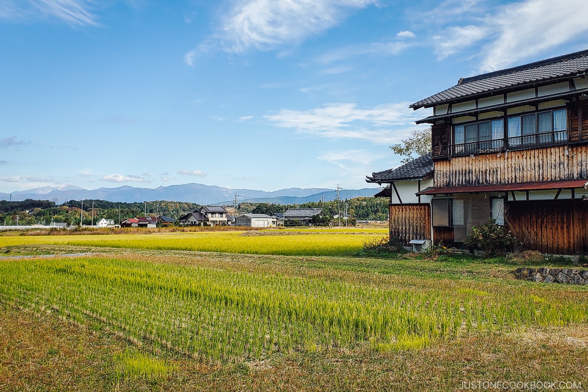 rural views in Ena