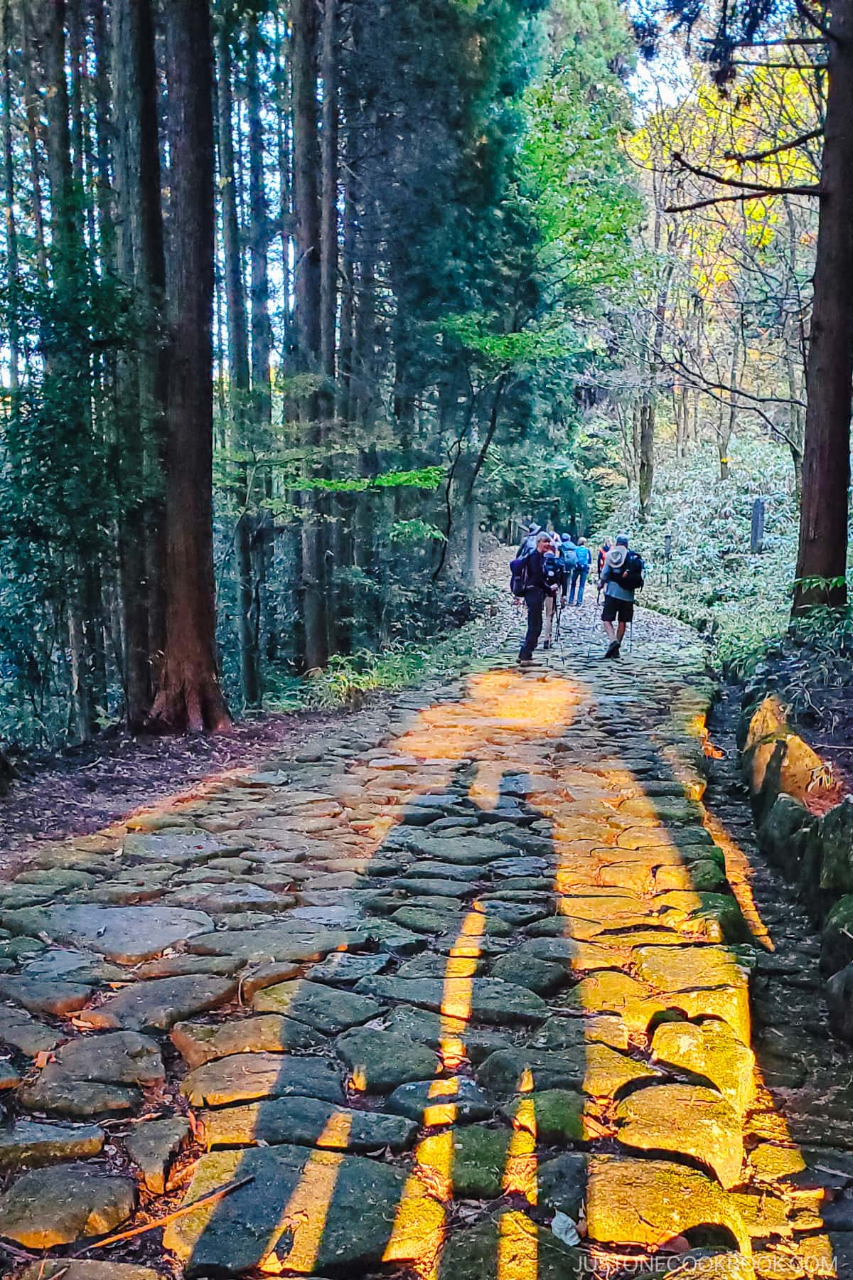 Ishidatami stone paving on the way to Shincha