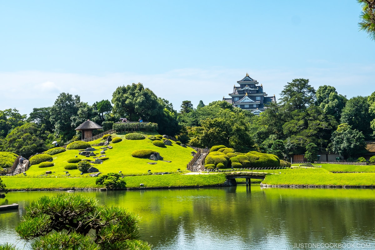 a hill and castle behind a large pond