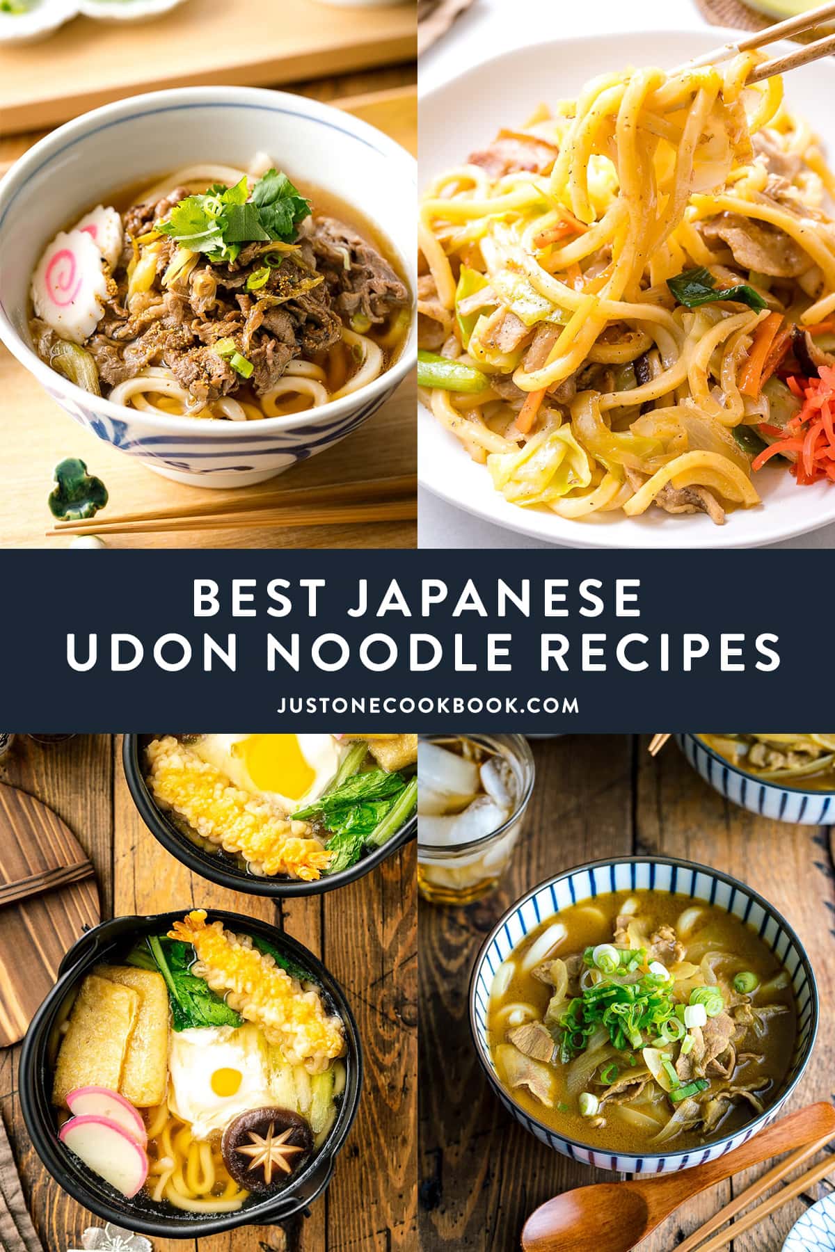 Best Authentic Japanese Udon Noodle Recipes • Just One Cookbook