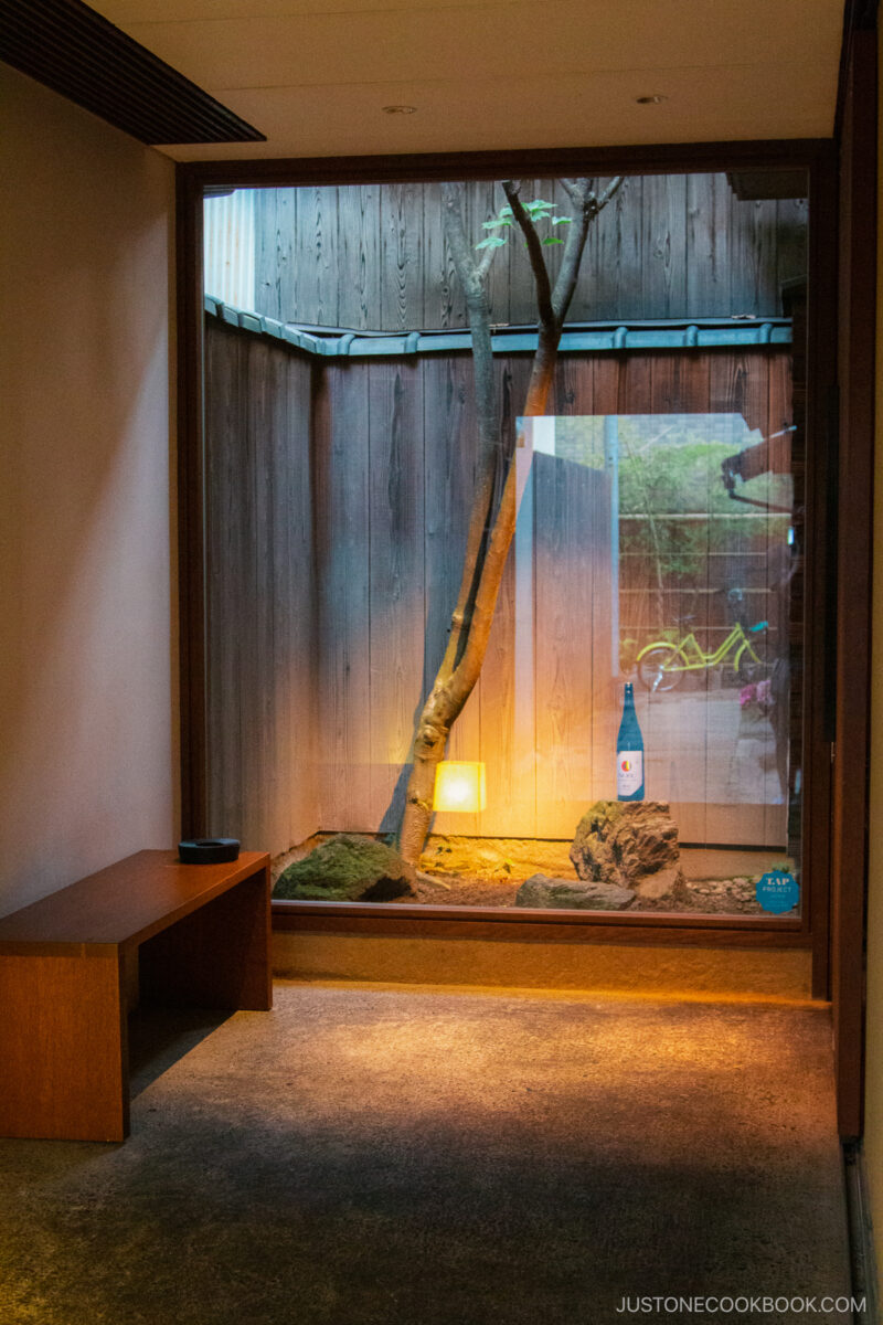 a tree behind a glass wall