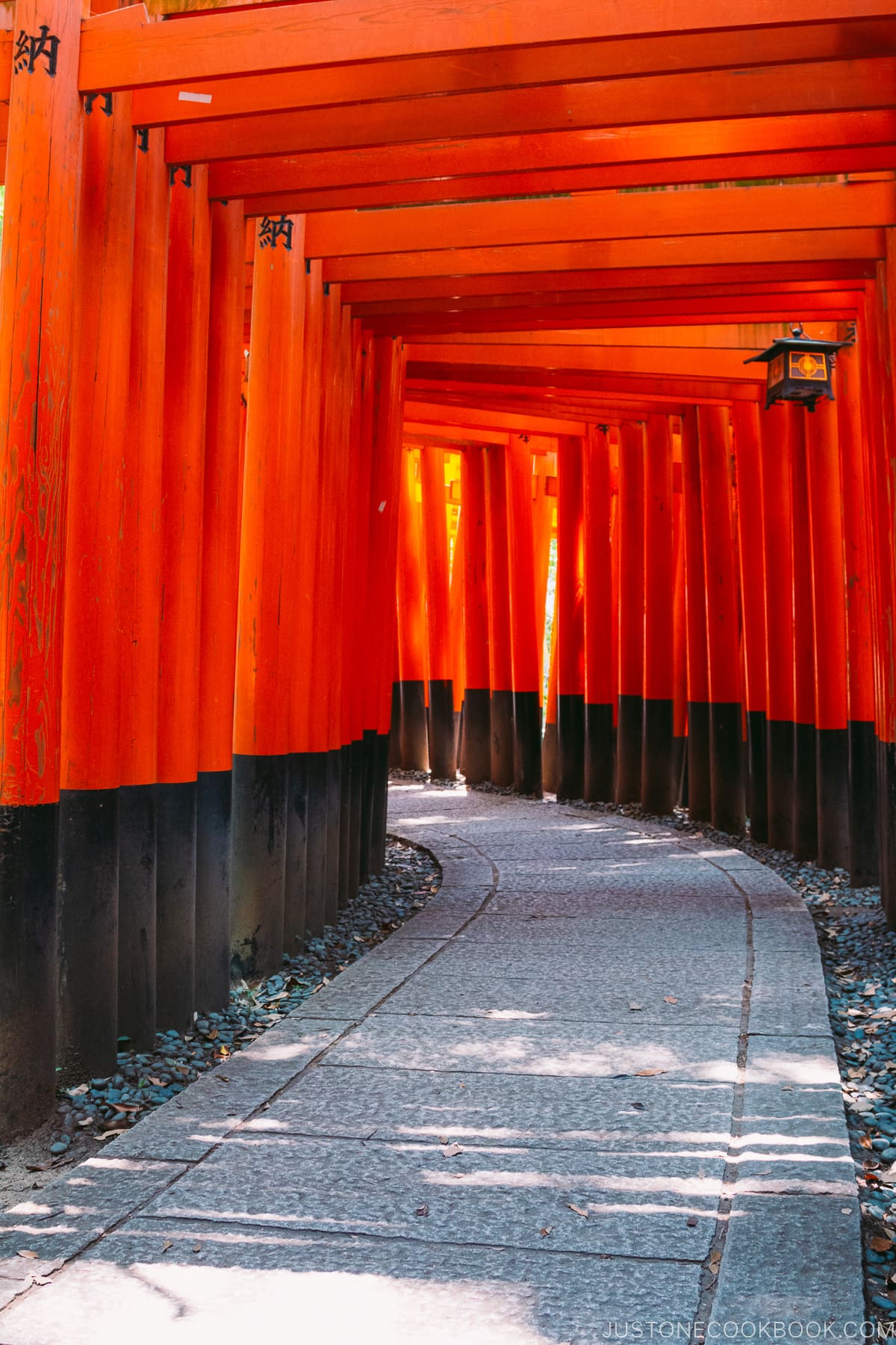 Fushimi Inari Shrine's tori gates