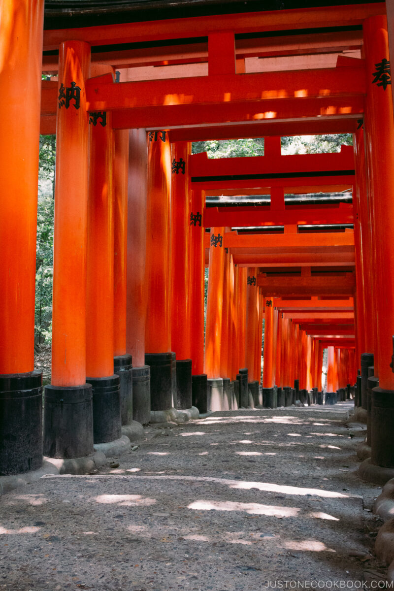 Fushimi Inari Shrine's tori gates