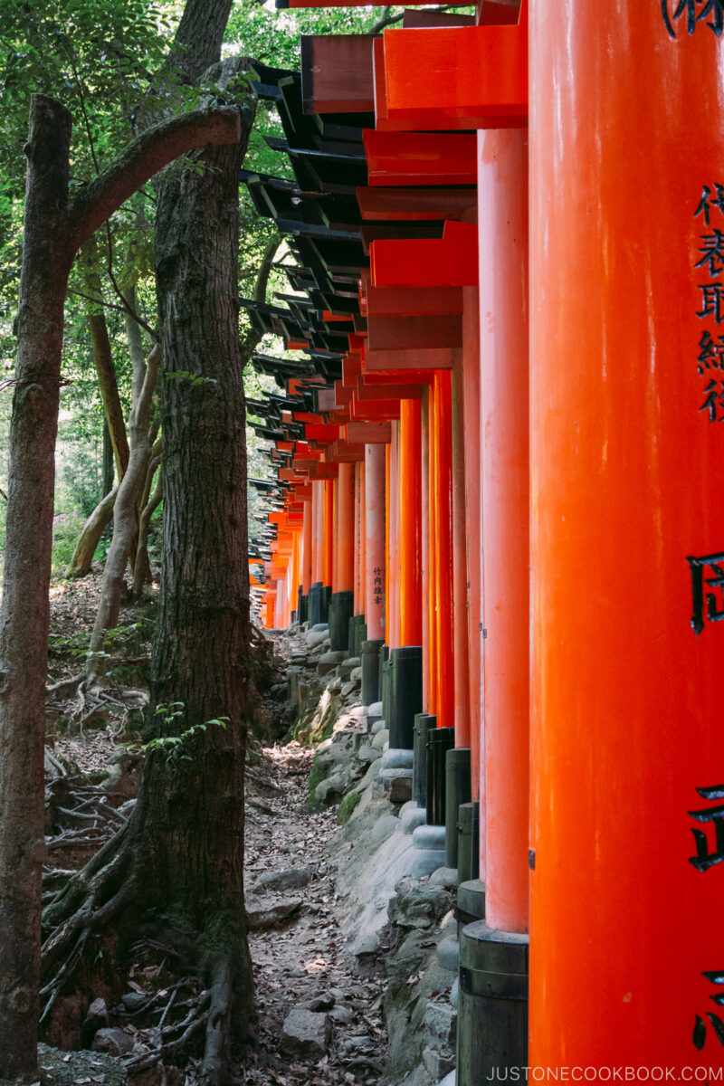 Fushimi Inari Shrine's tori gates