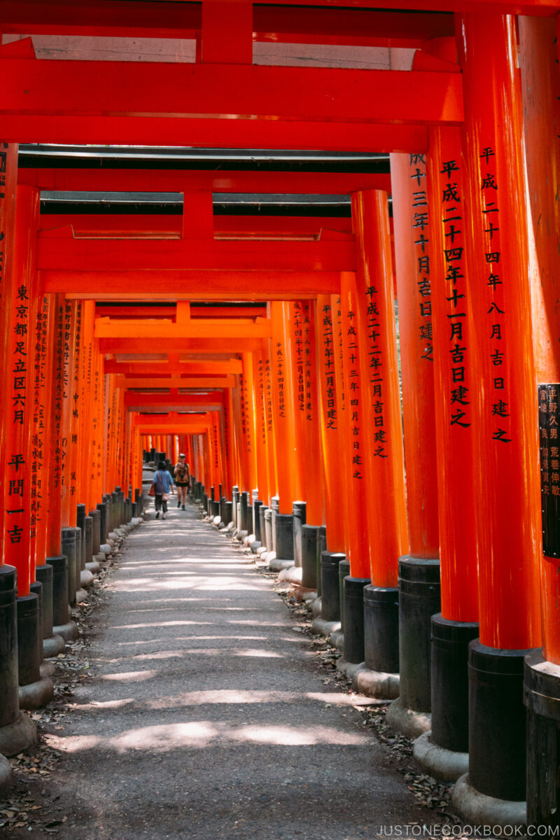 Fushimi Inari Shrine's tori gates