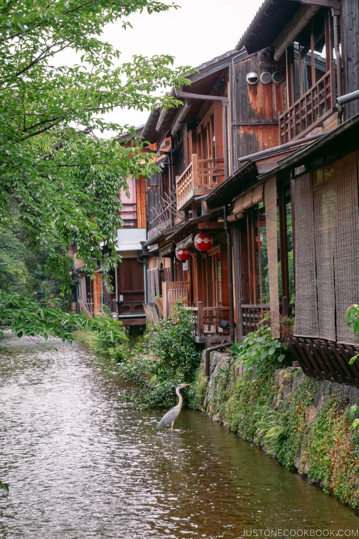 Kyoto architecture and nature.