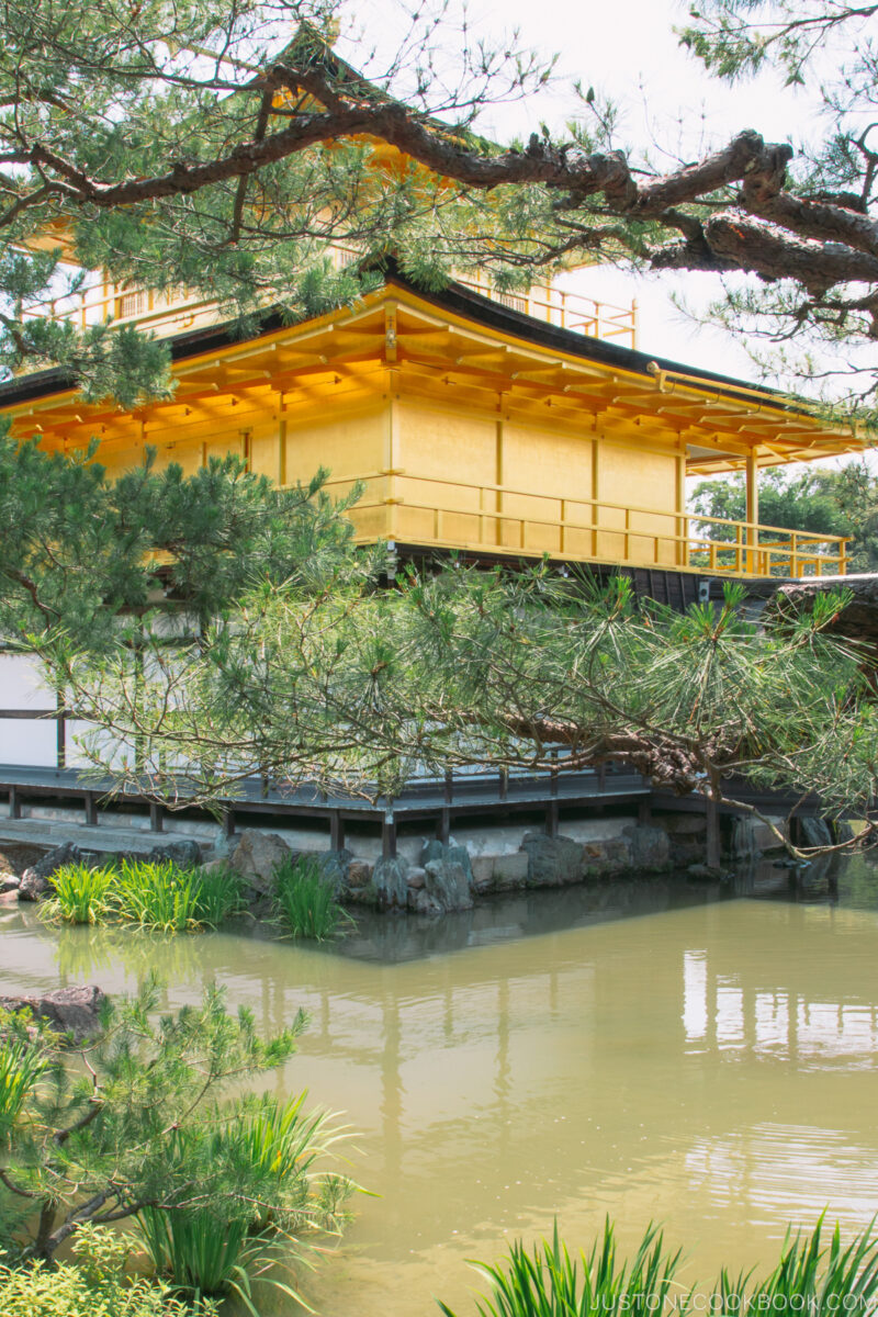 Kinkaku-ji The Golden Pavilion in front of a pond