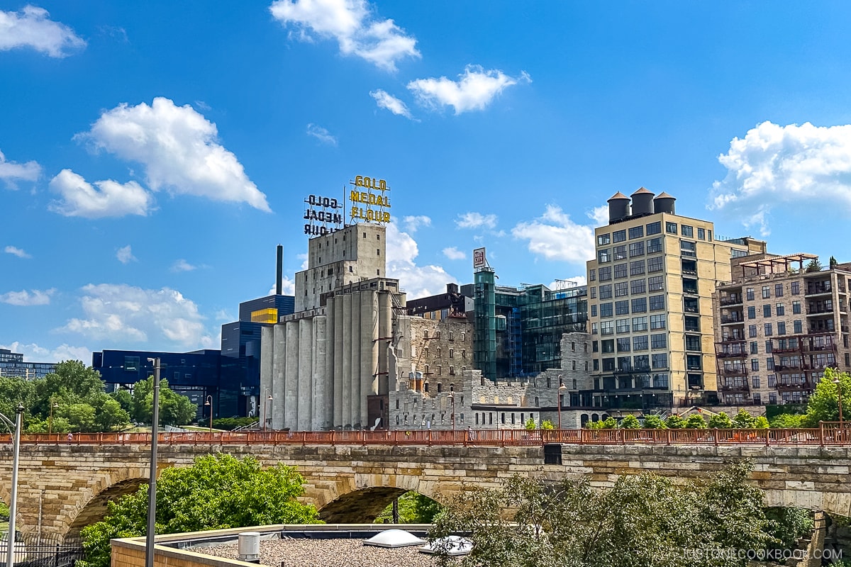 view of Mill City Museum and near by areas
