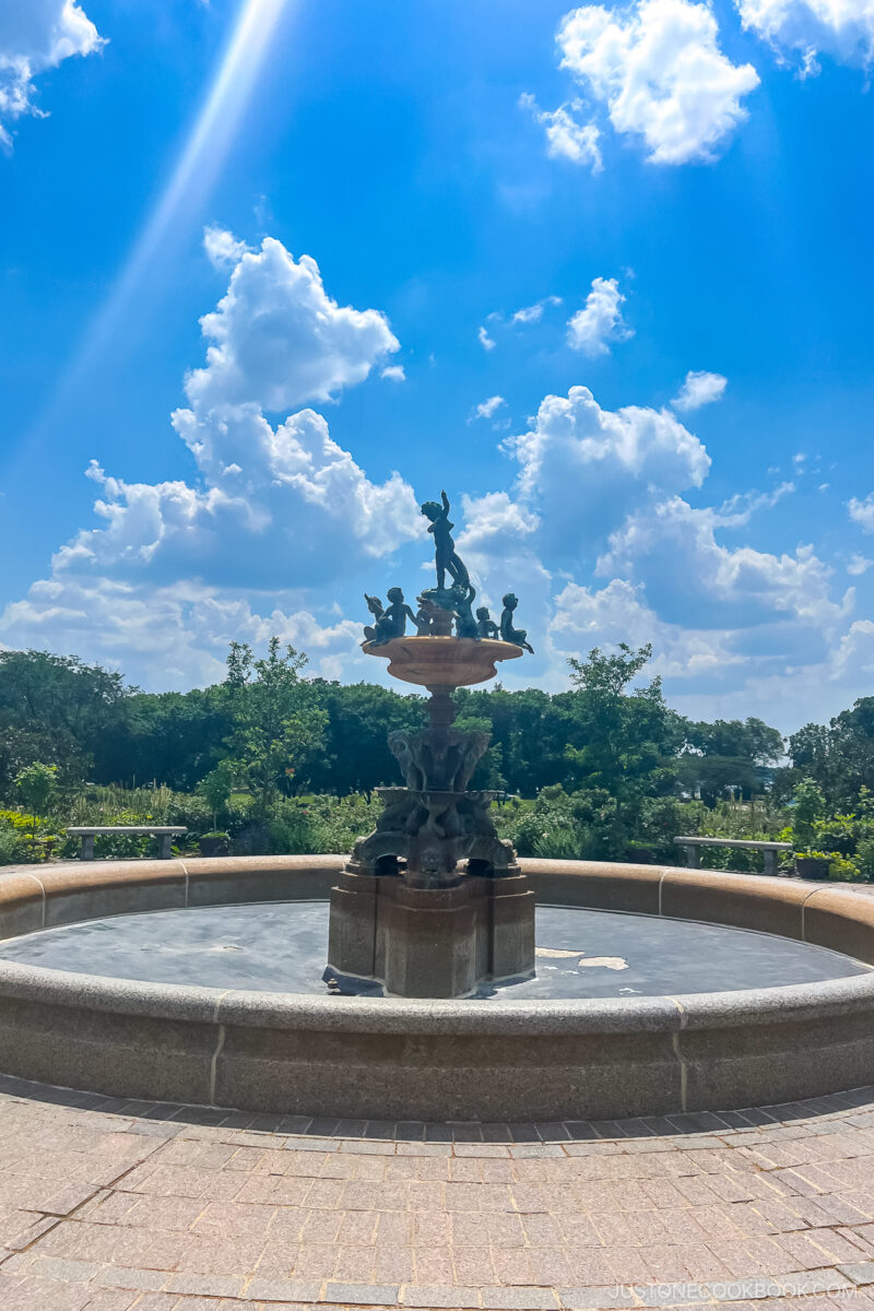 the water fountain at Lyndale Park Rose Garden