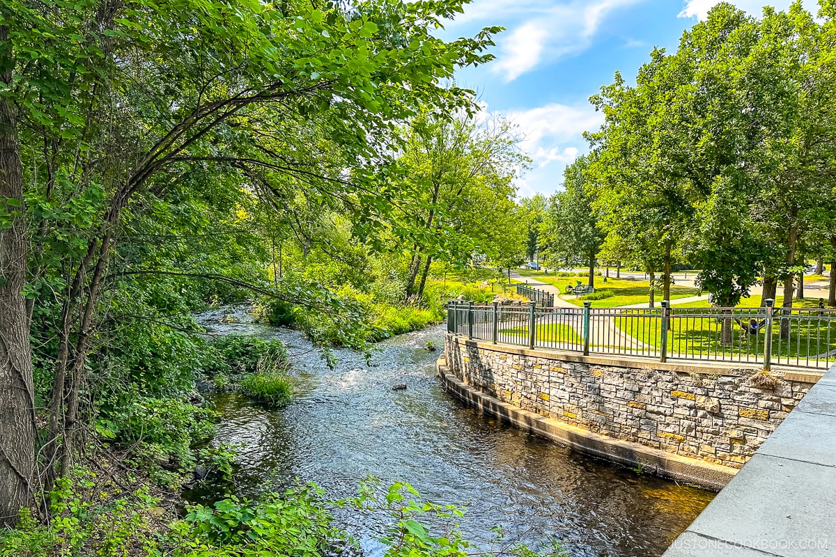 creek at Minnehaha Regional Park