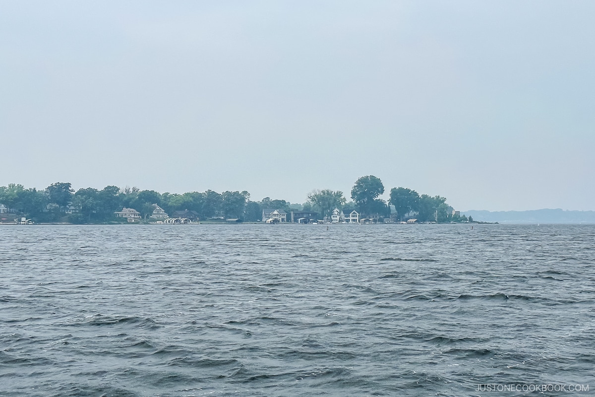 view of shoreline from a boat