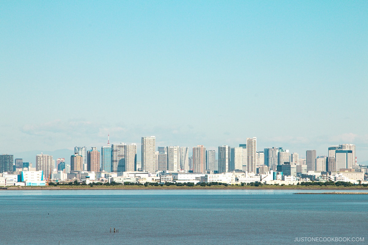 View of Tokyo Skyline from Tokyo DisneySea