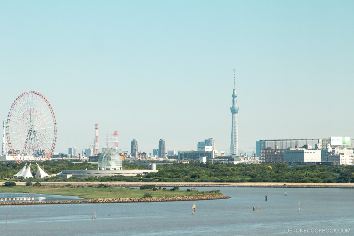 View of Tokyo Skytree from Tokyo DisneySea