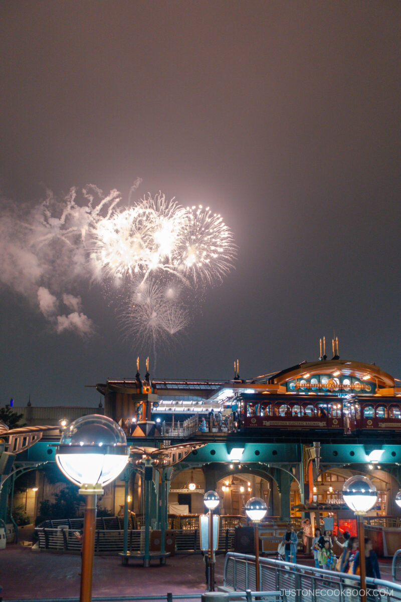 Tokyo DisneySea fireworks at night