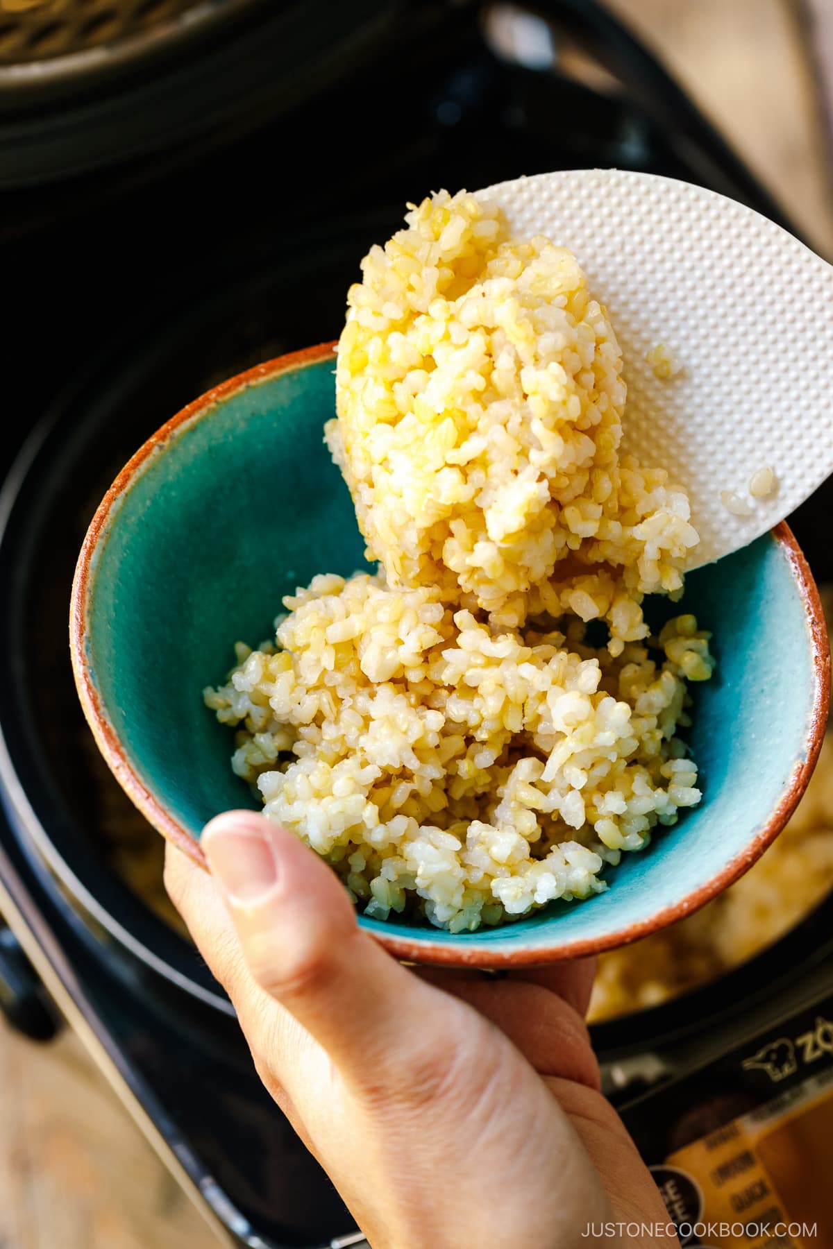 Japanese short-grain brown rice is being served into the rice bowl.