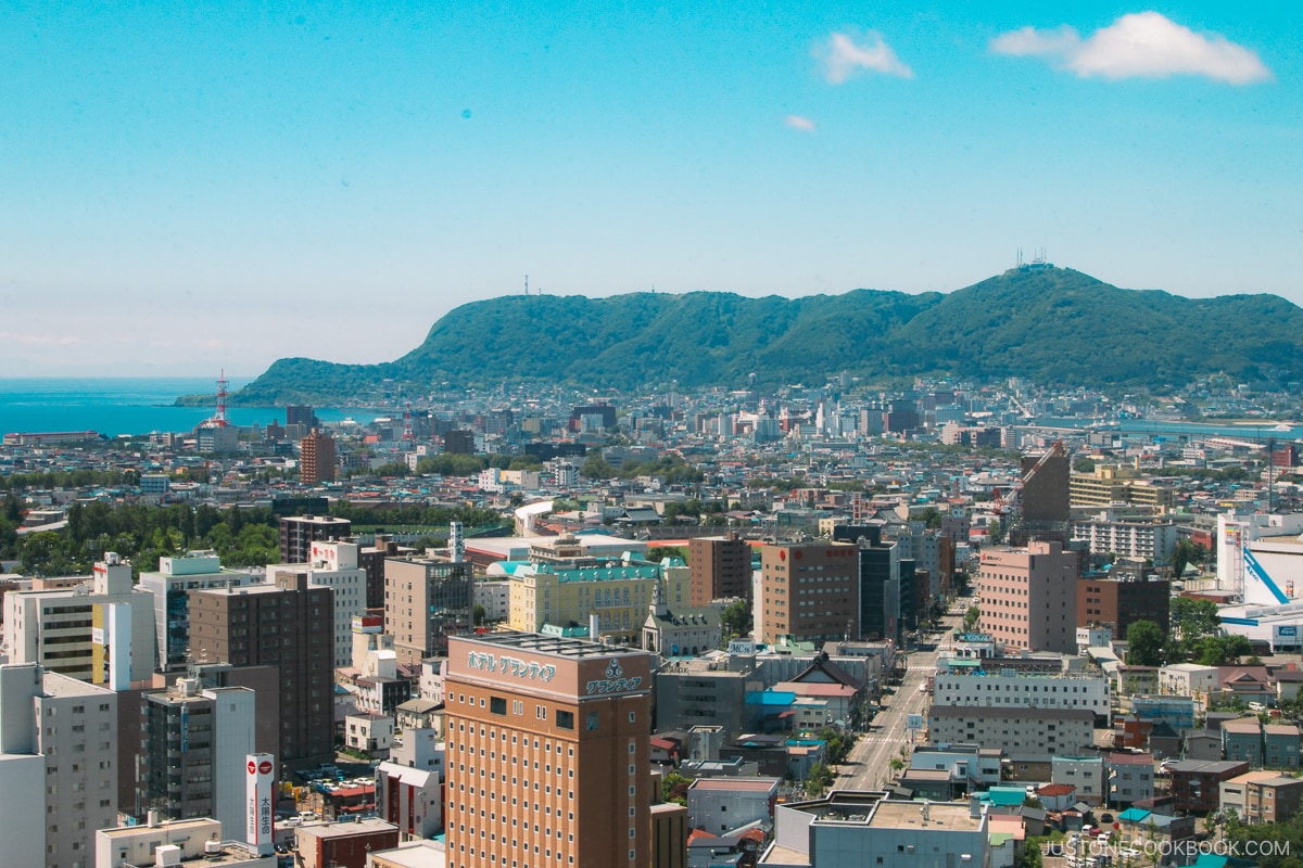 View overlooking Hakodate City from Goryokaku Tower