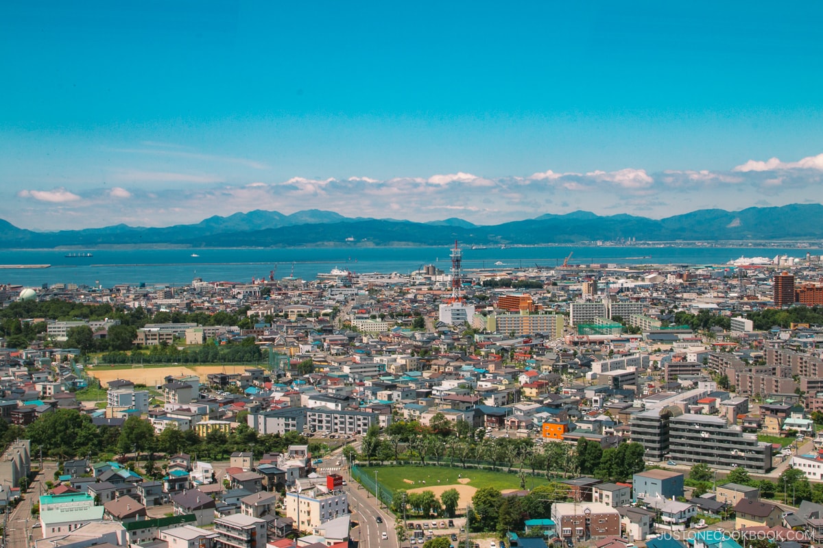 View overlooking Hakodate City from Goryokaku Tower