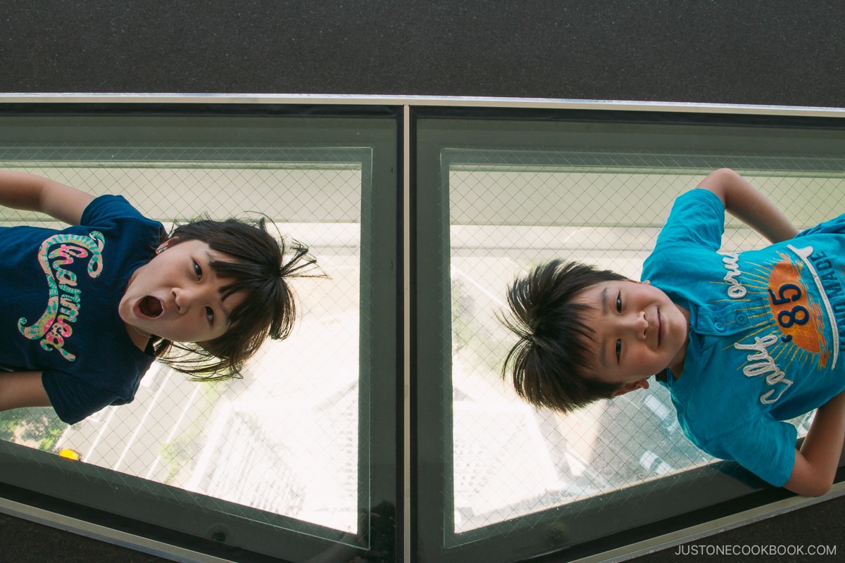 two kids lying on the glass floor in a toiwer