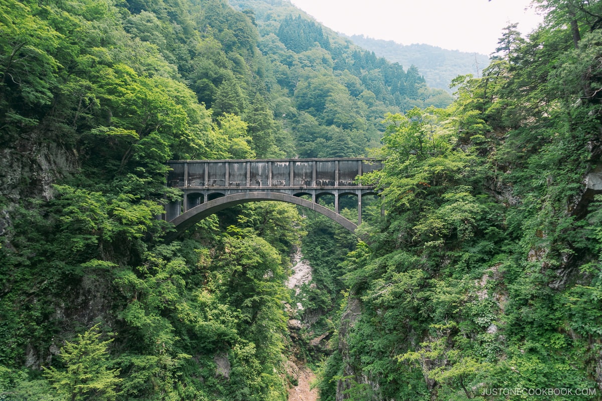 View from Kurobe Gorge Railway of a bridge