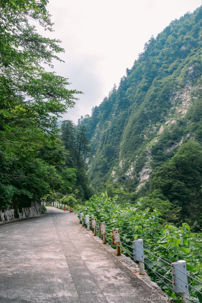 a road next to a gorge