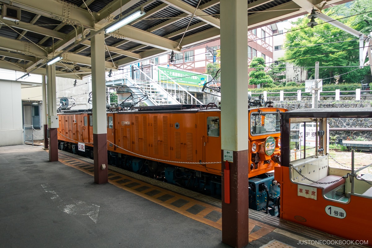 Torokko train at station at Unazukionsen Station