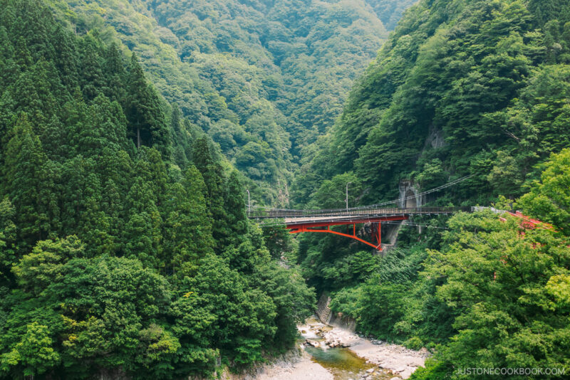 Kurobe Gorge Railway view of Shin-Yamabiko Bridge