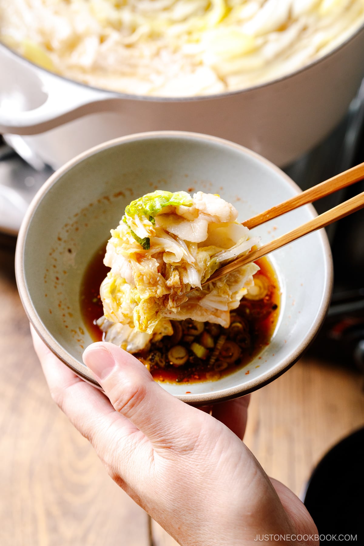 Mille-Feuille Nabe ミルフィーユ鍋 • Just One Cookbook