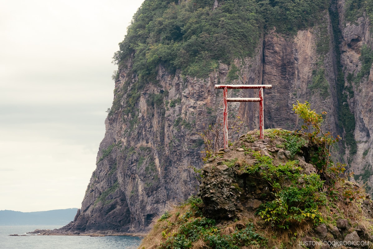 Torii gate on top of a rock in the middle of the sea