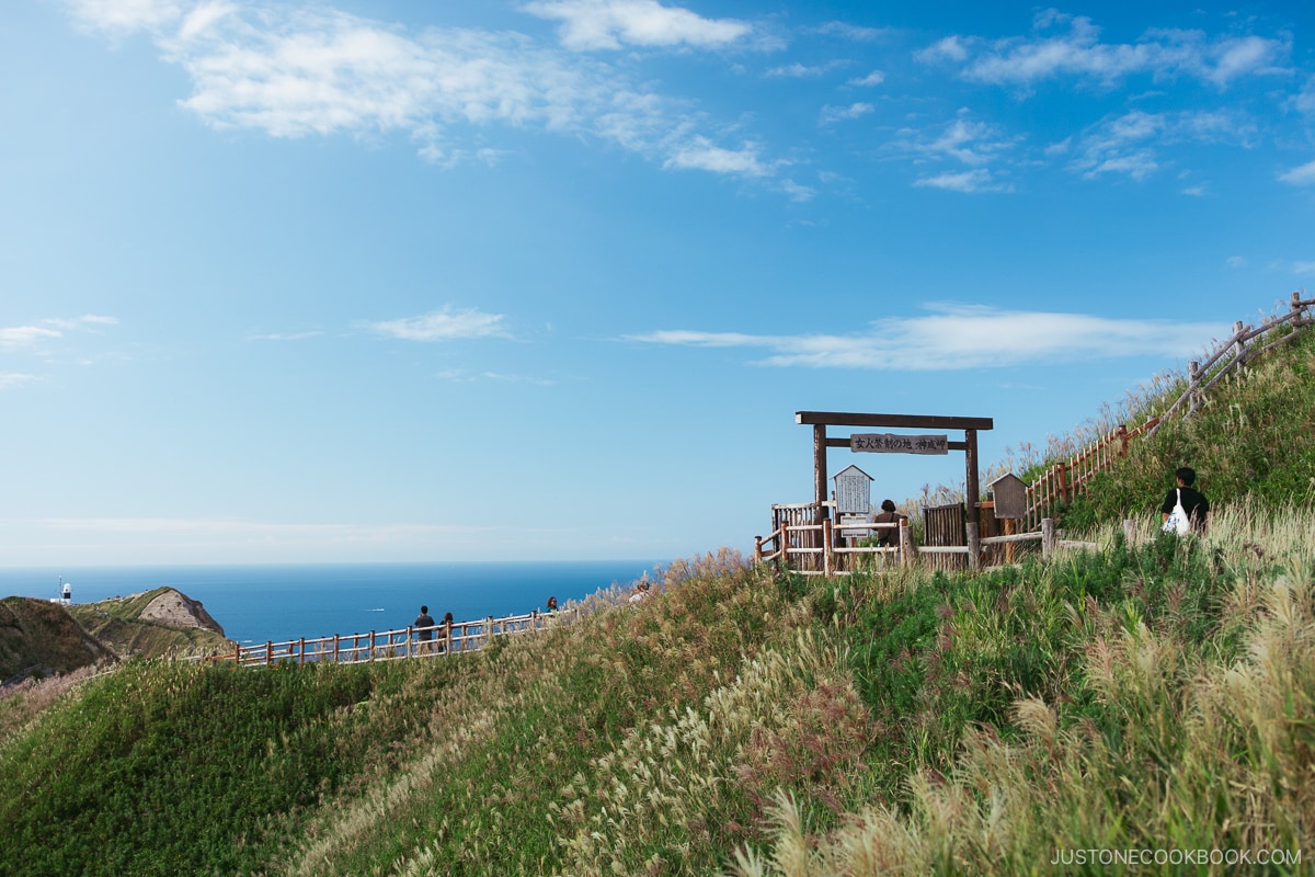 Cape Kamui wooden torii gate entrance