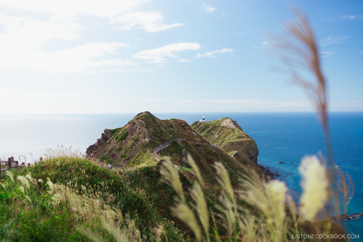 Cape Kamui with the blue ocean and sky