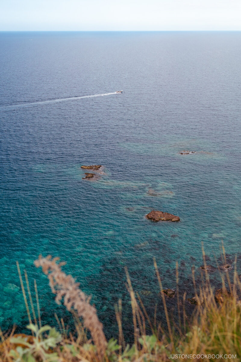 Shakotan Blue ocean with boat cruising in the background