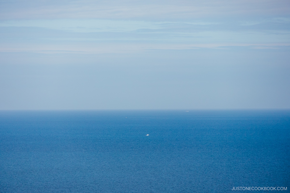 Sea stretching as far as the eye can see