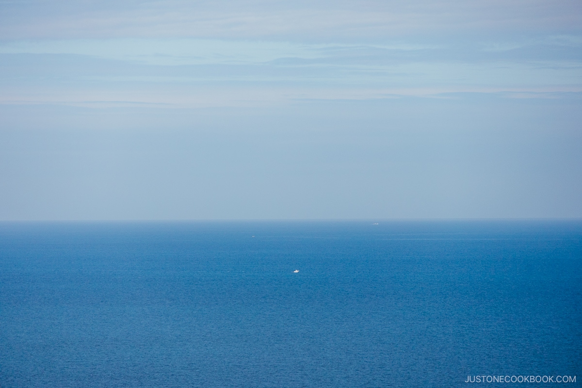 Sea stretching as far as the eye can see