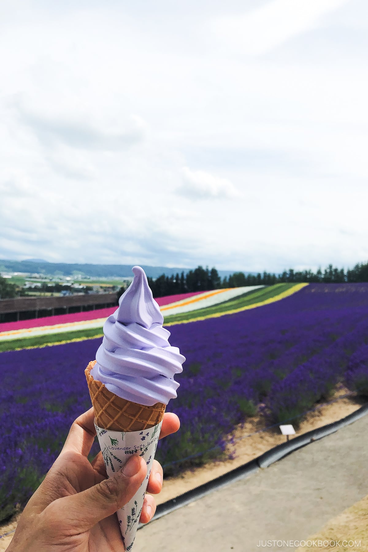 Lavender soft serve with waffle cone in front of a lavender field