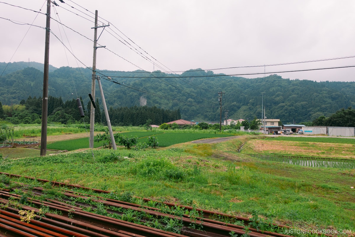 View from Toyama Station to Tateyama Station