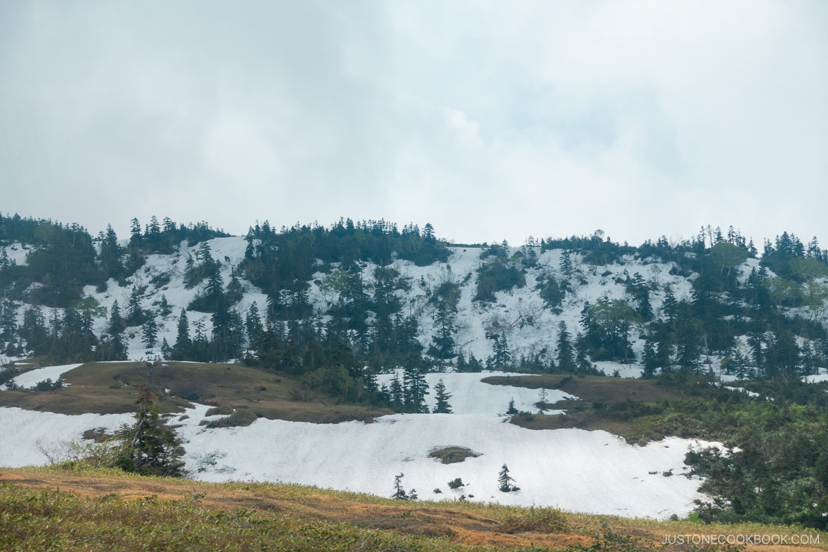 Patches of snow on the way to Murodo Station