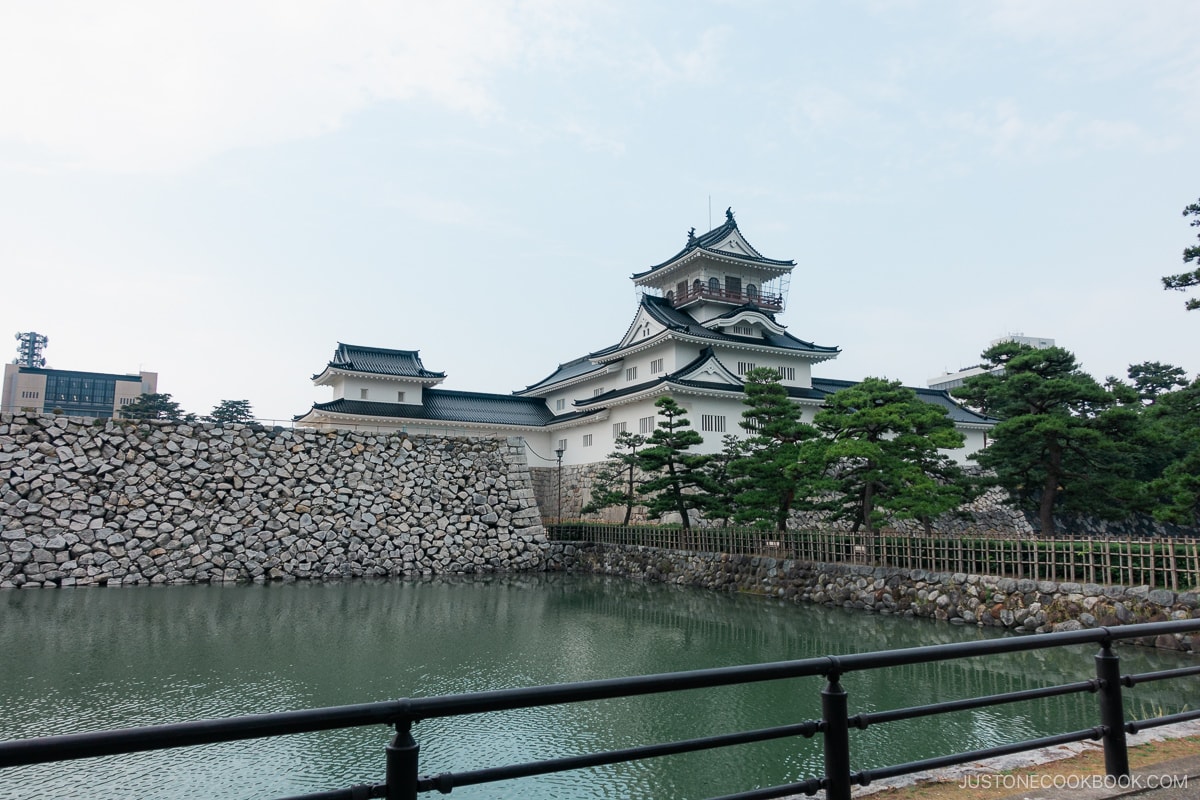 Toyama Castle and the moat