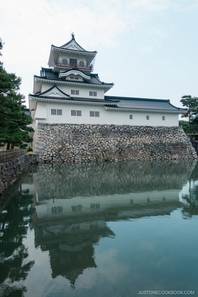 Toyama Castle annd the reflection in the moat