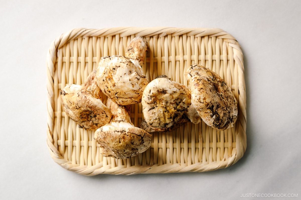 Matsutake Mushrooms