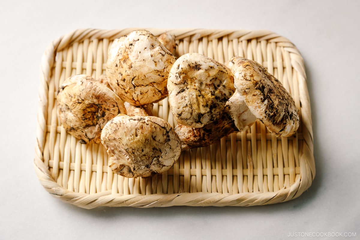 Matsutake Mushrooms