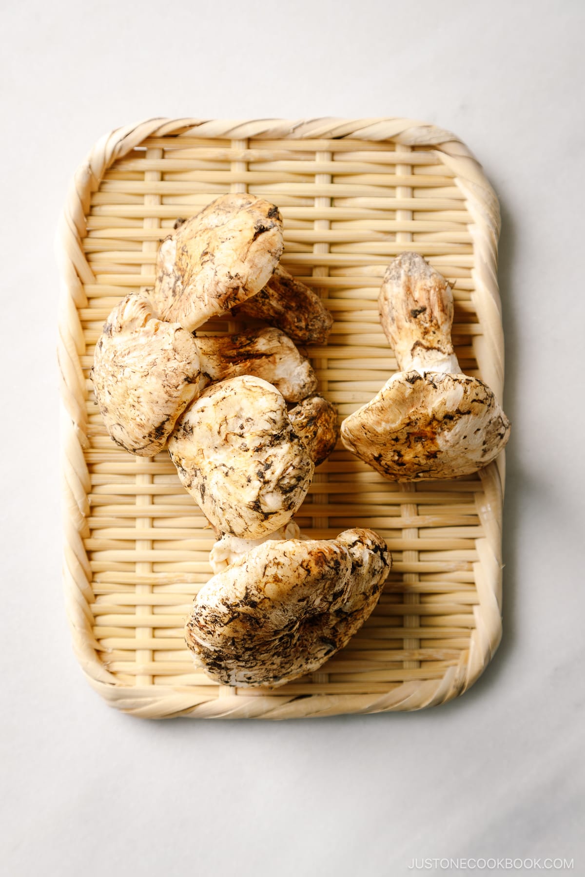 Matsutake Mushrooms