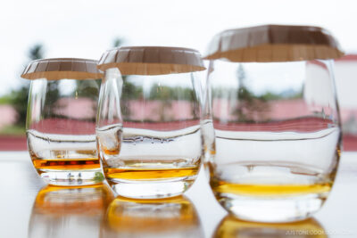 Three different whisky tasting glasses