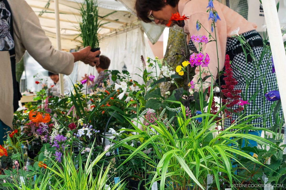 Miyagawa Morning Market flower shop