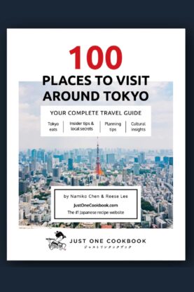 100 Places to Visit in Tokyo ebook